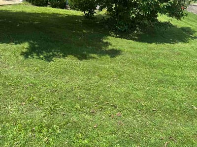 Lawn Care service in Irwin, 15642