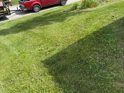 Lawn Care service in Irwin, 15642