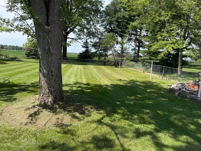 Lawn Care service in Marlton, 08053