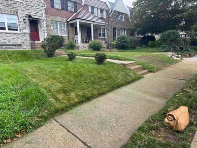 Lawn Care service in West Mifflin, 15122
