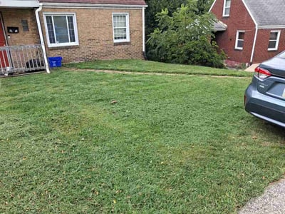 Lawn Care service in West Mifflin, 15122