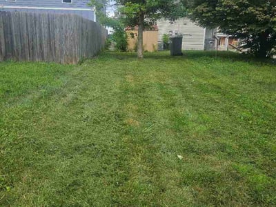 Lawn Care service in Indianapolis, 46204