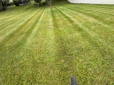 Lawn Care service in Winchester, 22601