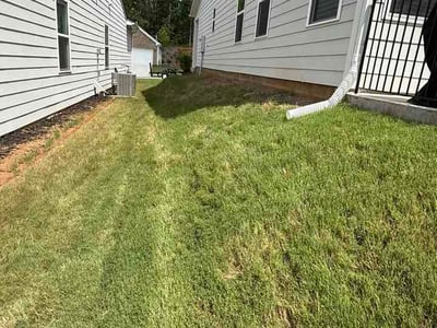 Lawn Care service in Downey, 90241