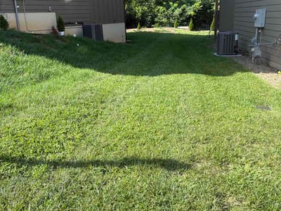 Lawn Care service in Asheville, 28801