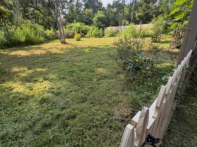 Lawn Care service in Asheville, 28801