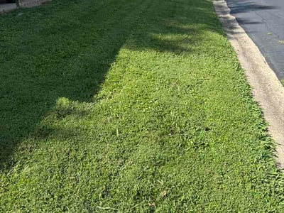 Lawn Care service in Highland, 62249