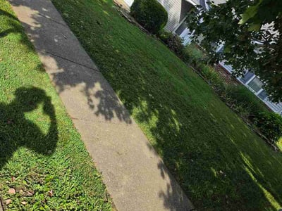 Lawn Care service in Highland, 62249