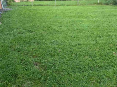 Lawn Care service in Dyer, 46311