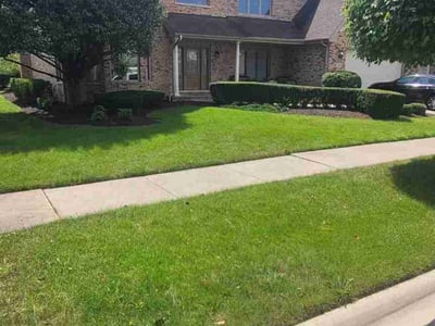 Lawn Care service in Orland Park, 60462