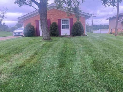 Lawn Care service in Orland Park, 60462