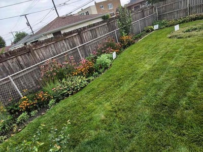 Lawn Care service in Wheaton, 60187