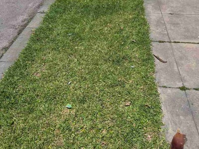 Lawn Care service in Arcadia, 91007