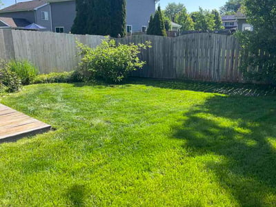 Lawn Care service in West Chicago, 60185