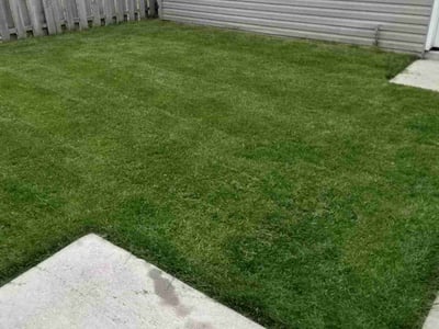 Lawn Care service in Warrenville, 60555