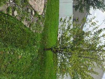 Lawn Care service in Bellefonte, 16823