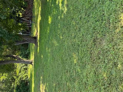 Lawn Care service in Bridgeton, 08302