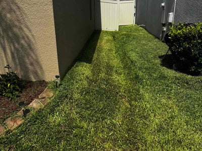 Lawn Care service in South Brunswick, 08852