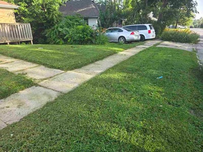 Lawn Care service in Marion, 62959