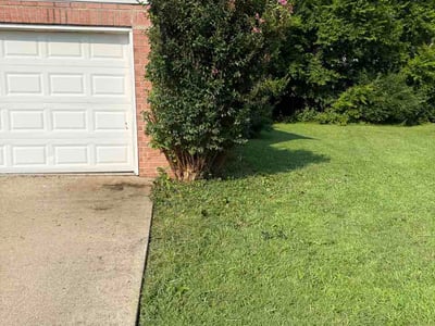 Lawn Care service in Compton, 90220
