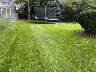 Lawn Care service in Fox Lake, 60020