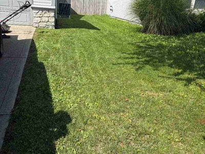 Lawn Care service in Brownsburg, 46112
