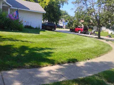 Lawn Care service in Joliet, 60432