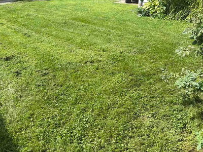 Lawn Care service in Council Bluffs, 51501
