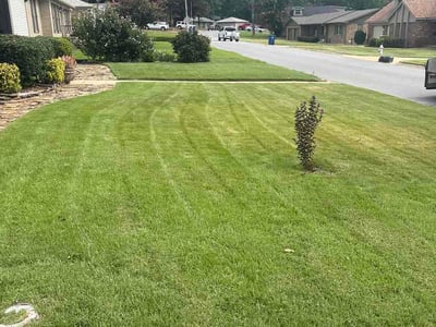 Lawn Care service in Sheridan, 72150