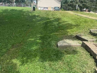 Lawn Care service in Wilkes-Barre, 18701
