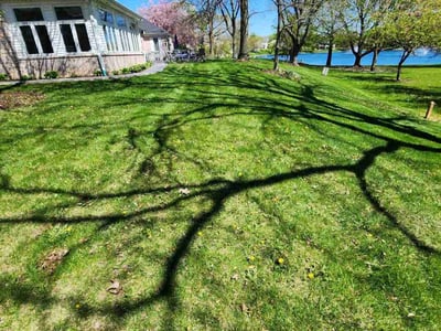 Lawn Care service in Dekalb, 60115