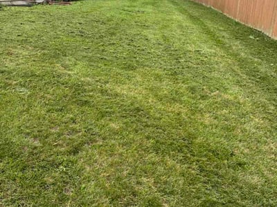 Lawn Care service in Dekalb, 60115
