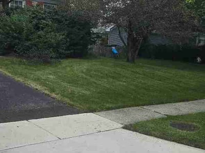 Lawn Care service in Algonquin, 60156