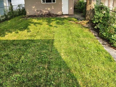 Lawn Care service in Lake In The Hills, 60156