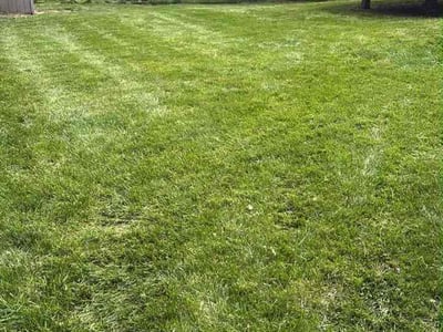 Lawn Care service in Souderton, 18964