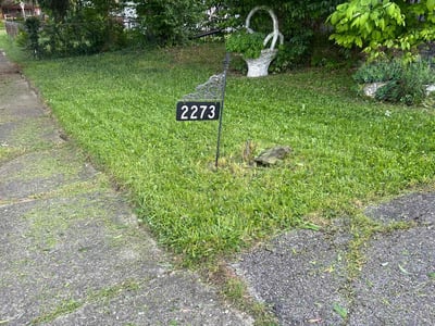 Lawn Care service in Souderton, 18964