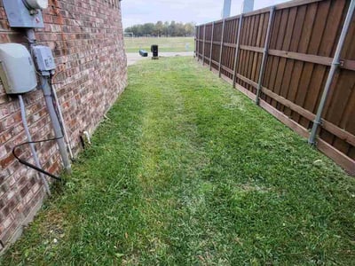 Lawn Care service in Fresno, 93721