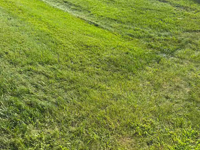 Lawn Care service in Monroeville, 15146