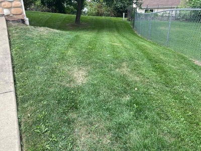 Lawn Care service in Monroeville, 15146
