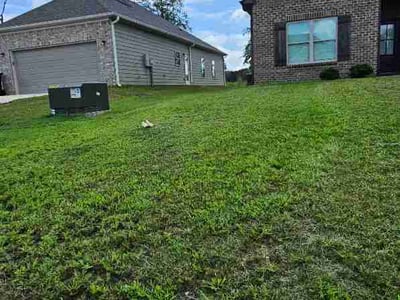 Lawn Care service in Jasper, 35501