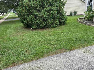Lawn Care service in Des Plaines, 60016