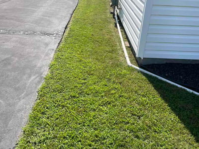 Lawn Care service in Albany, 12207