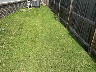 Lawn Care service in Springdale, 72764