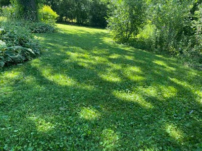 Lawn Care service in Lisle, 60532