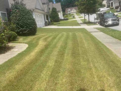 Lawn Care service in Auburn, 30011
