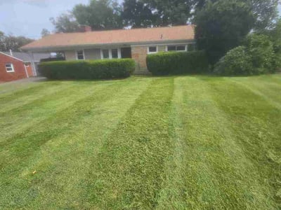 Lawn Care service in Valencia, 16059