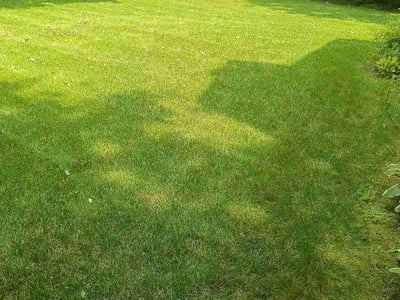 Lawn Care service in Hanover Park, 60133