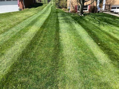 Lawn Care service in Ford City, 16226