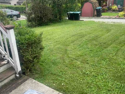 Lawn Care service in Tarentum, 15084
