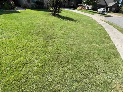 Lawn Care service in Harvest, 35749
